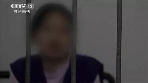 深圳阿诚爆料事件始末视频,真相与争议的交织
