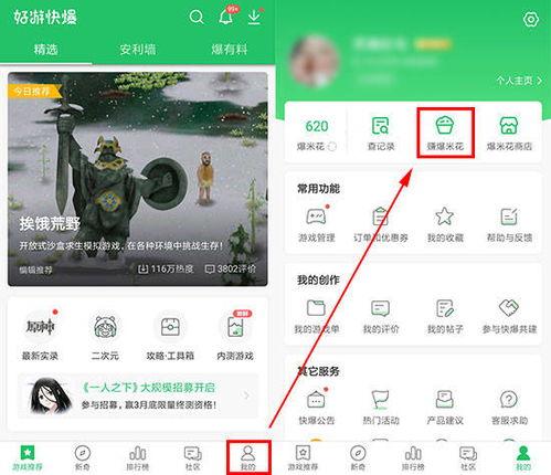 怎么快速获得头条礼包码,快速开启福利之旅
