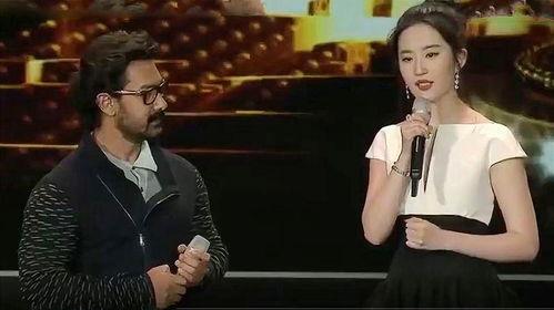 当明星的翻译,揭秘明星背后的辉煌与挑战