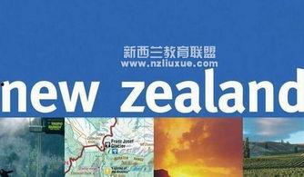 今日头条新西兰教育机构,探索国际教育新选择