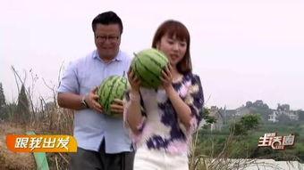 宜昌吃瓜视频,揭秘当地美食文化盛宴