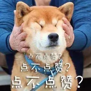 智障网红表情包动图,趣味横生的网络文化现象