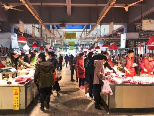 丽水今日头条猪肉价,波动中寻求平衡