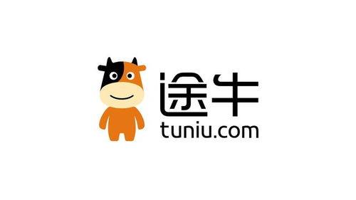 头条达达兔,揭秘头条背后的智能助手