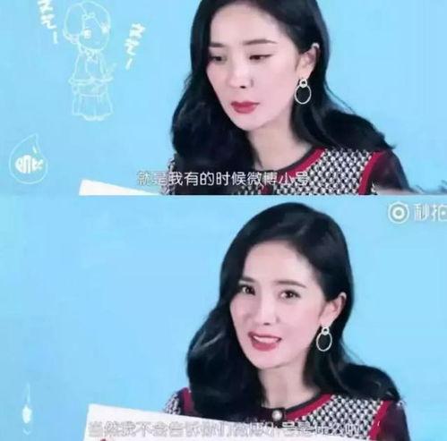 明星如何怼网友,智慧与风度的网友互动瞬间