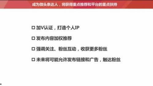 今日头条视频精彩短文,揭秘短视频背后的精彩故事