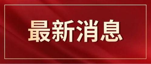 训头条