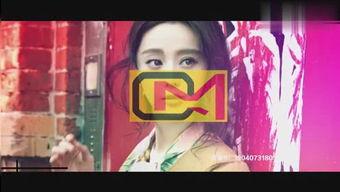 晶晶爆料视频大全,揭秘娱乐圈幕后真相