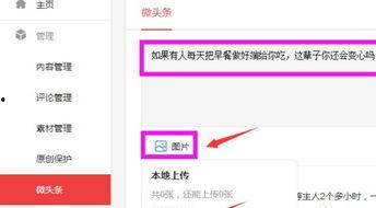 微头条怎么发,如何打造引人注目的文章副标题