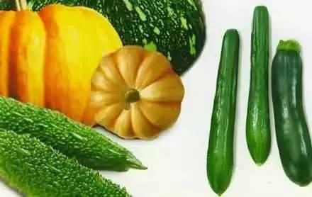 用什么吃瓜,探索各式“吃瓜”利器