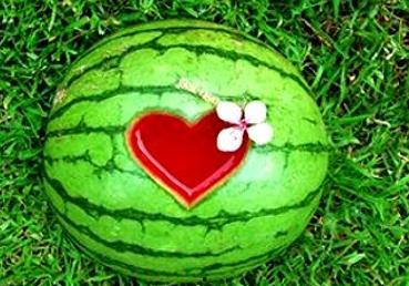 梦见吃瓜的人,揭秘吃瓜背后的寓意与启示