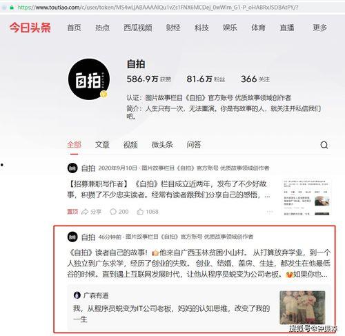 头条未来故事怎么写,预见科技浪潮，解码智能时代