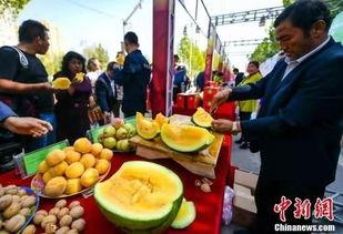 国人的吃瓜文化,从娱乐八卦到社会现象的深度解读