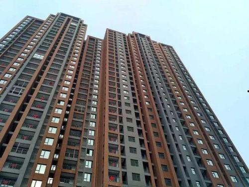 上蔡县新闻头条房价暴跌,市场动态引发关注