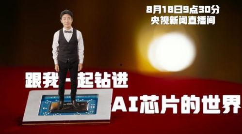 小撒爆料视频,娱乐圈幕后真相大曝光