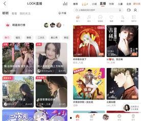 头条怎么才有打赏,如何吸引粉丝心甘情愿打赏