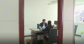 岑溪嘉兴新闻头条,聚焦两地发展新动态，共话合作新篇章