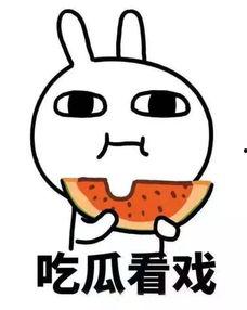 meme吃瓜,趣味背后的人文思考