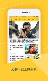 正规微头条视频,带你领略短视频的魅力与影响力