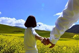 吃瓜群众男女比例,揭秘男女比例背后的社会现象