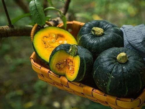 板栗瓜蒸怎么吃,家常蒸菜新尝试