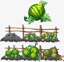 娱乐吃瓜头像图片图文并茂